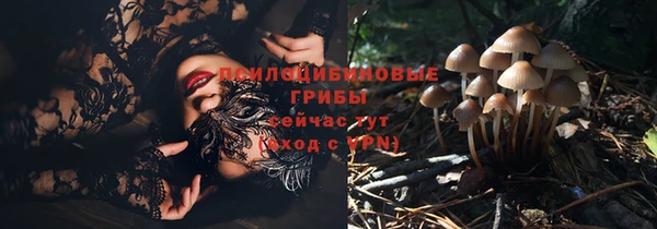 кокс Богданович